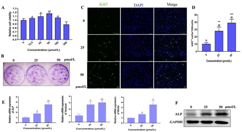 Hordenine enhanced the proliferation and activity of mouse dermal papilla cells.