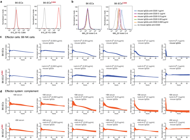 Mouse Cd64 protects B6 iECs from MHC antibody-mediated killing.