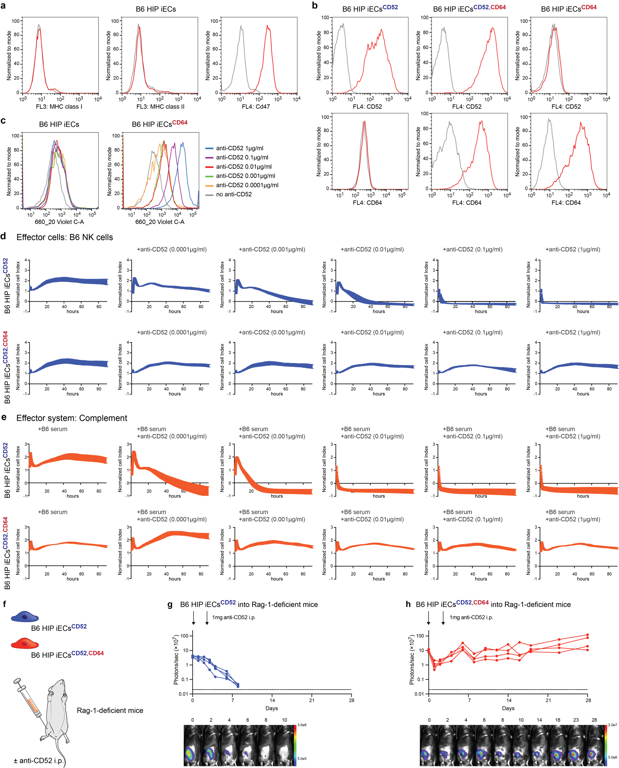CD64 expression protects B6 HIP iECsCD52,CD64 from non-MHC antibody killing in vitro and in vivo.