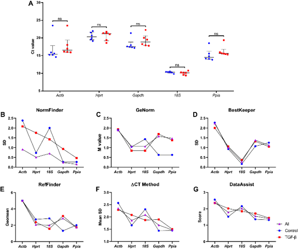 Ct values of five candidate housekeeping genes (A) and stability analysis of housekeeping genes by six different software (B-G).