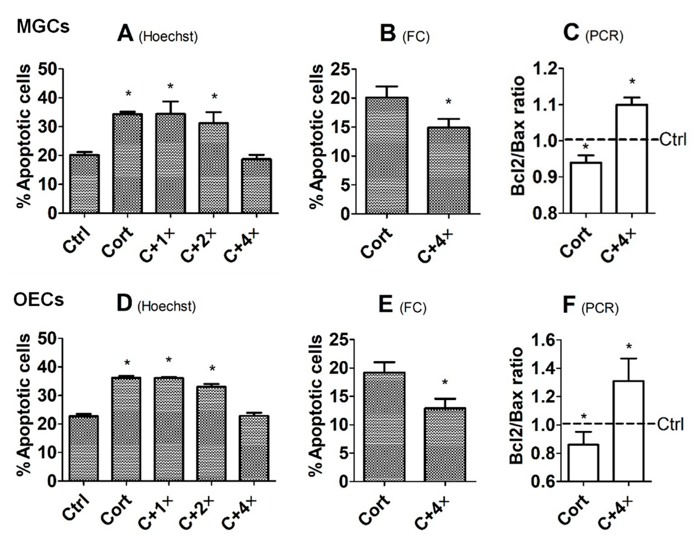 Culture with tPA Ameliorated Corticosterone-Induced Apoptosis of MGCs and OECs.