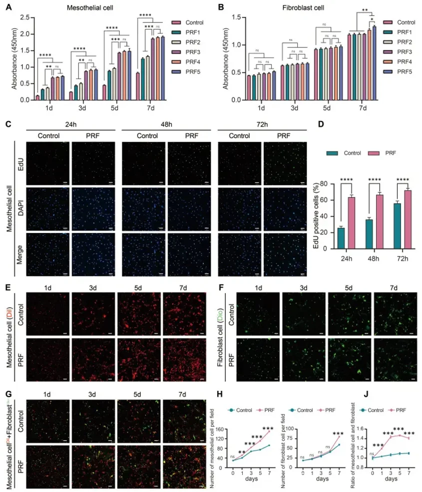 Comparison of the effects of PRF on the proliferation ability of mesothelial cells and fibroblasts.