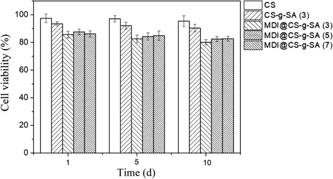 MTT results of various chitosan (CS) films.