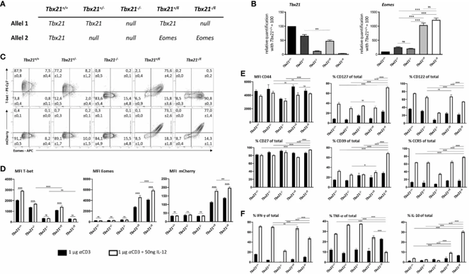 Eomes induces IL-10 production in CD4+ T cells in vitro. In vitro stimulation of splenocytes with soluble Anti-CD3 with or without IL-12 for 48 hours, cells were analyzed by RT-qPCR (B) or flow cytometry (C-F)