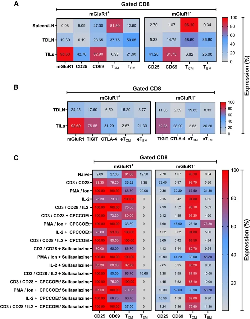 mGluR1 expression correlates with CD8+ T cell activation and effector memory differentiation in suppressive tumor microenvironment.