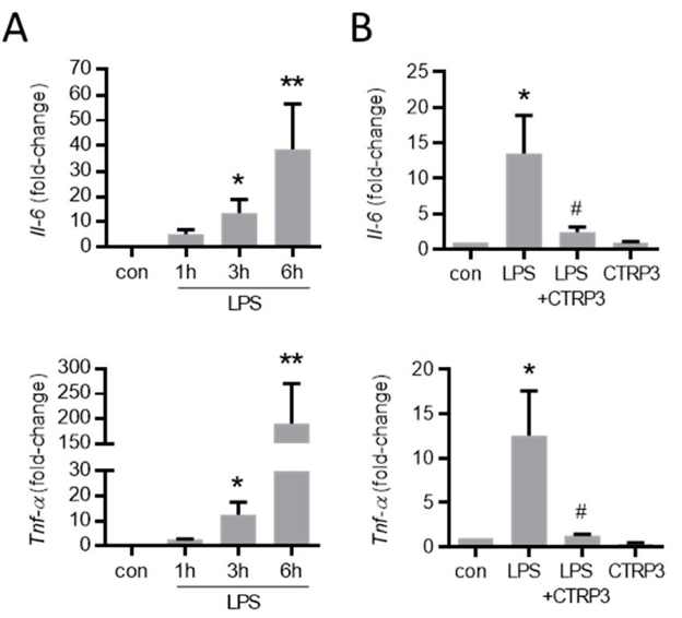  LPS-induced cytokine expression in endothelial cells is inhibited by CTRP3.