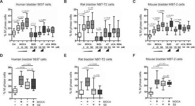 Comparative analysis of mitosis induction by several aromatic amines or the presence or absence of S9 treatment in human, rat, and mouse bladder cells.