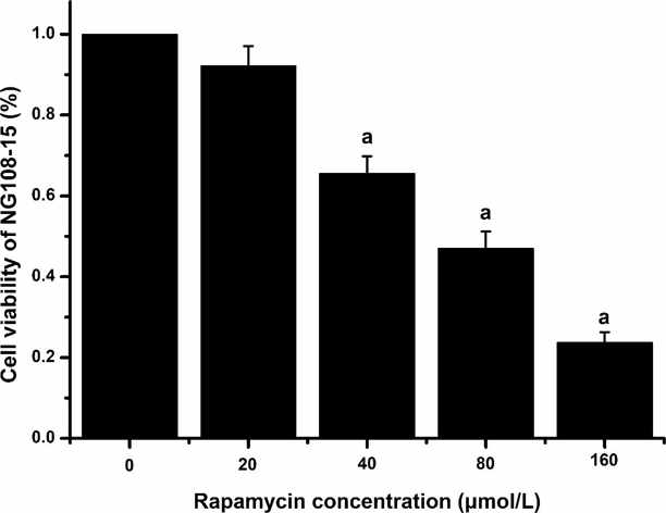 The effect of Rap on the cell viability of NG108-15.