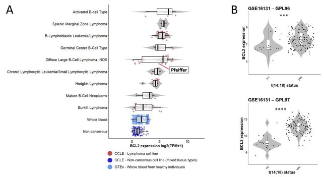BCL2 gene expression in lymphoma cell lines and patients.