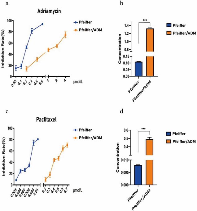 Pfeiffer/ADM cells are more sensitive to Paclitaxel than Adriamycin.