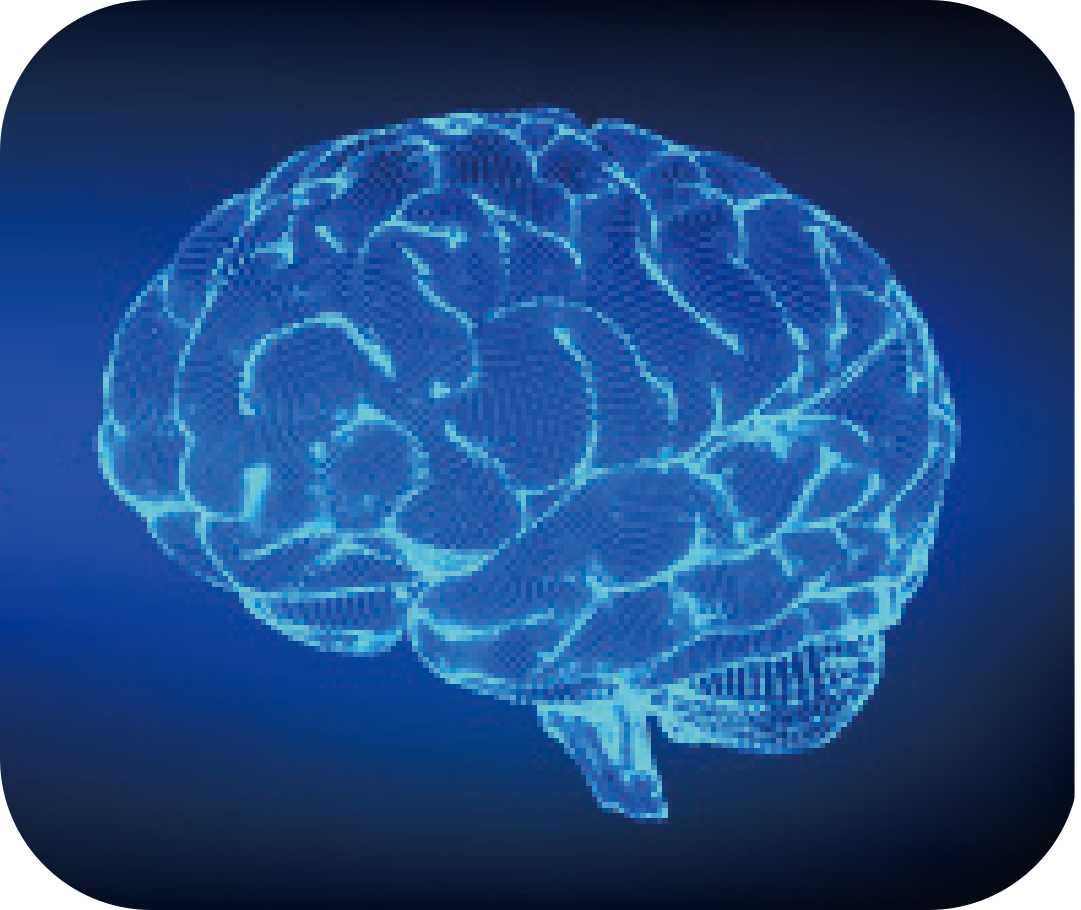 Alzheimer's Disease Modeling and Assays
