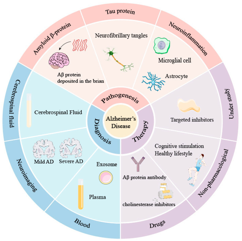 Alzheimer's Disease Modeling and Assays