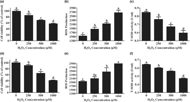 Effects of H2O2 on the viability, ROS production, and T-SOD activity of PMECs.