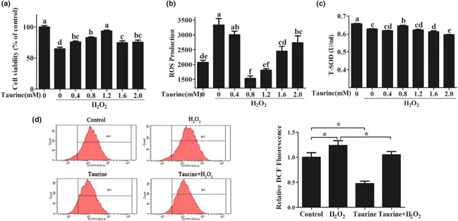 Effects of taurine against H2O2-induced oxidative stress.