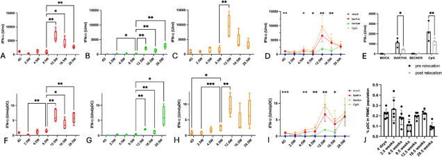 Total IFN-α production by PBMC and IFN-α production per pDC in response to PRV Bartha, PRV Becker or the TLR9 agonist CpG increases substantially after the age of 8,5 weeks.