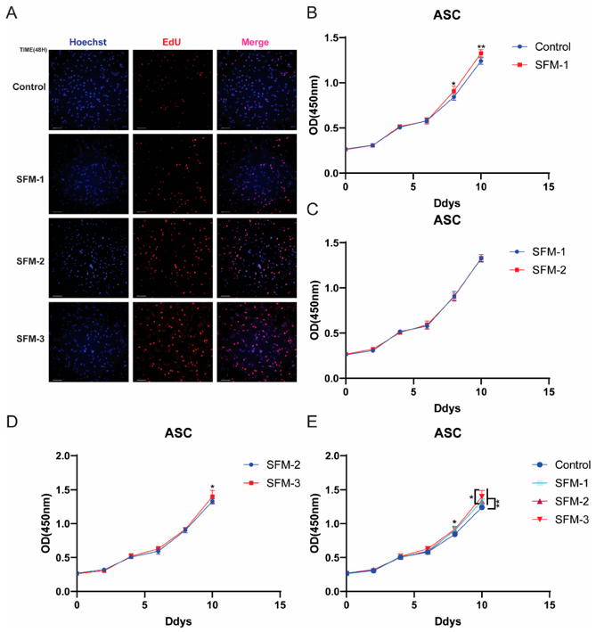 Effects of Three Serum-Free Differentiation Regimens on the Proliferation of Porcine Preadipocytes.