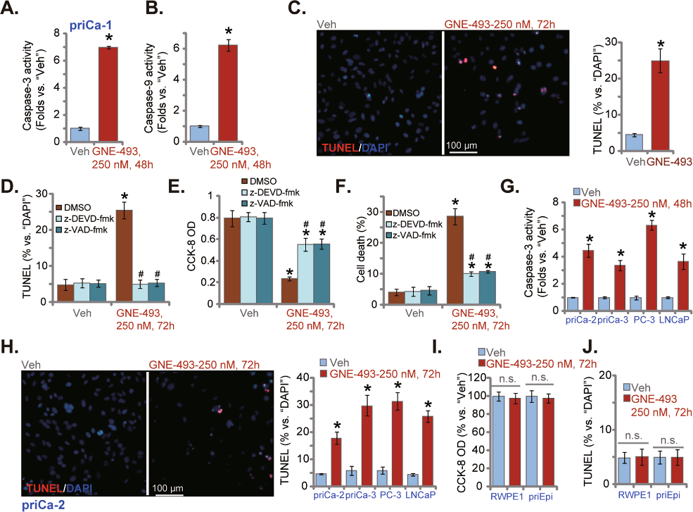 GNE-493 provokes apoptosis in prostate cancer cells.