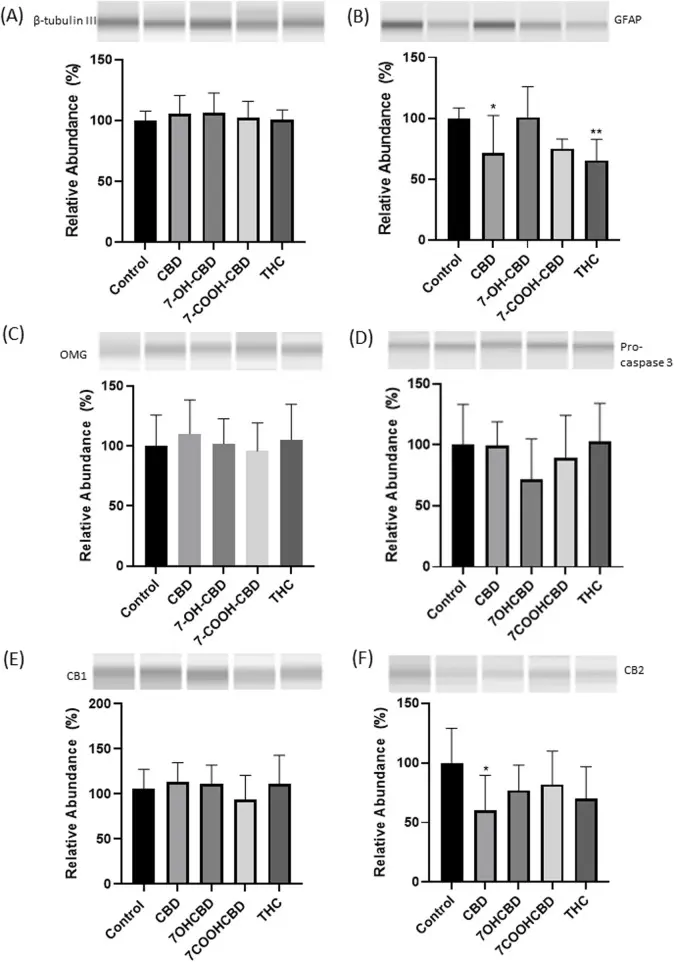 Expression levels of β-tubulin III, GFAP, OMG, caspase 3, CB1 and CB2 receptors after drug exposures.