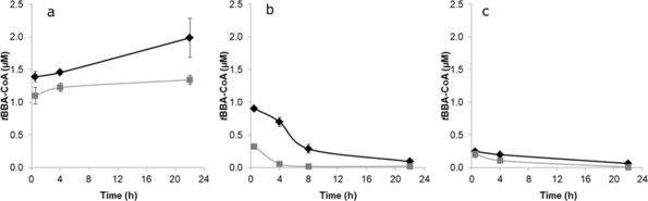 Formation of p-tBBA-CoA in rat, rabbit, and human hepatocytes exposed to 3-(4-tert-butylphenyl)-2-methylpropanal (BMHCA).