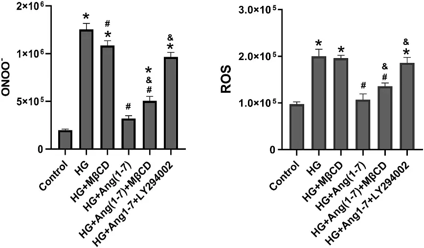 Ang 1-7 suppressed high glucose-induced oxidative stress.