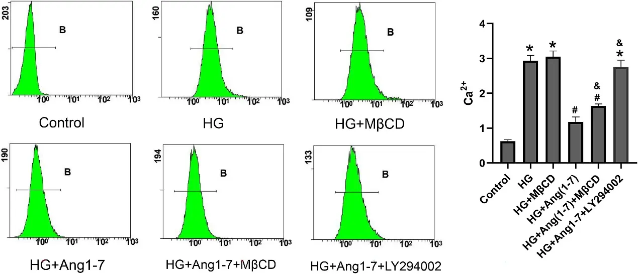 Ang 1-7 downregulated the intracellular calcium ion levels induced by high glucose.