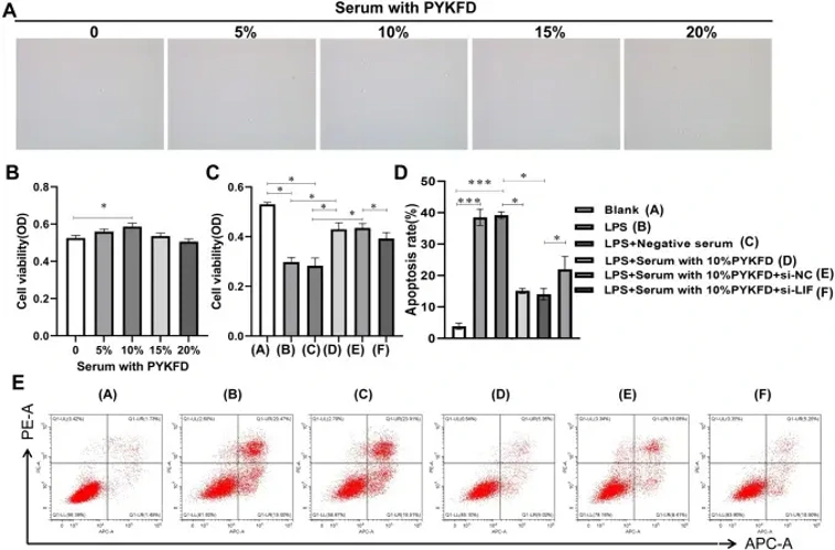 PYKFD regulates the biological behavior of REECs.