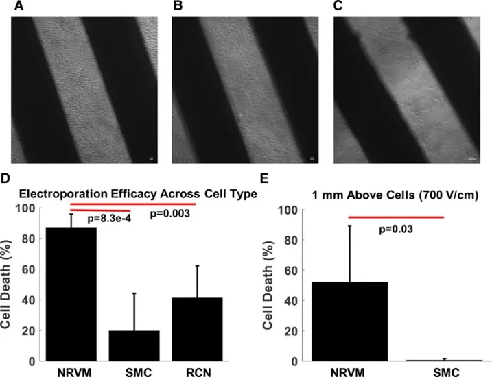 Cell type efficacy dependence.