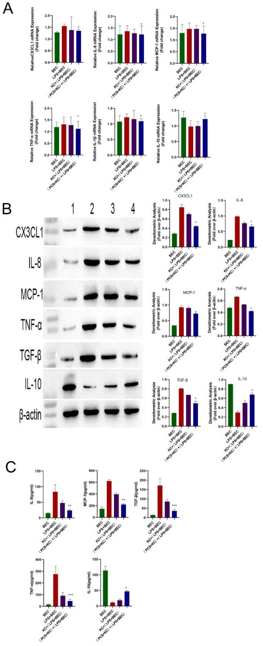 PCS Protects Bile Duct Epithelial Cells Damaged by LPS through Kupffer Cells.
