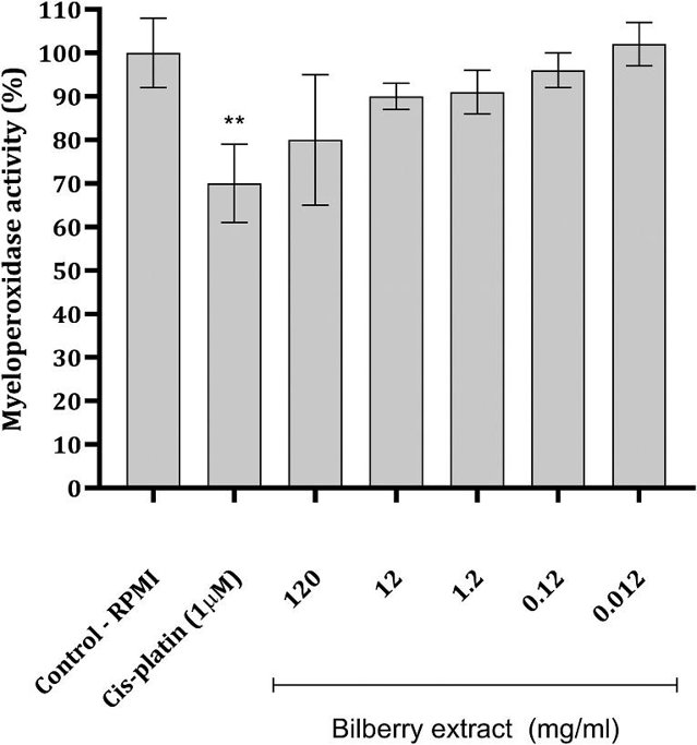 Effect of Bilberry Extract on Isolated rat Macrophage Myeloperoxidase Activity.