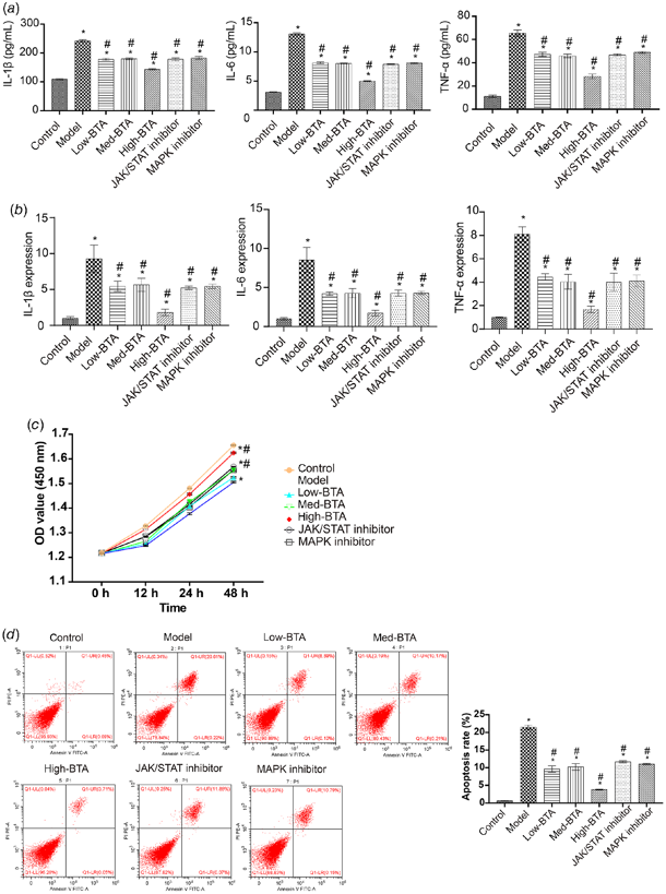High-dose BTA inhibited the inflammatory response, promoted oviduct epithelial cell proliferation, and inhibited apoptosis.