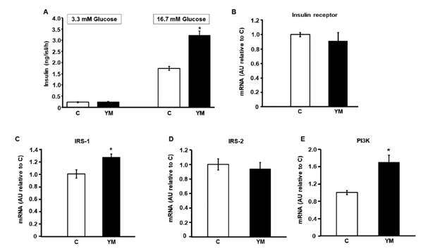 Insulin secretion in response to different glucose concentration and mRNA levels of intracellular mediators of insulin signaling pathway.