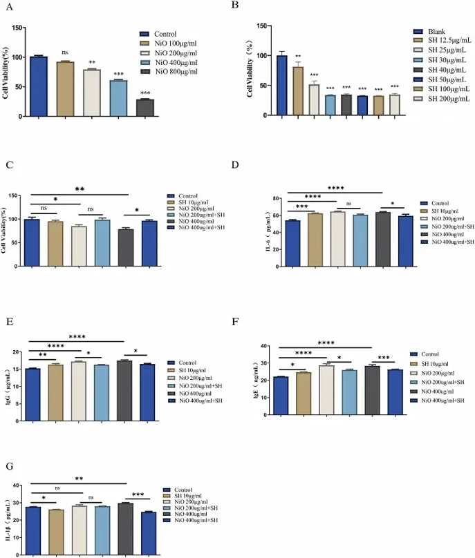 Effects of NiO-NPs and SH on the cell viability of ACE-Ⅱ and determination of inflammatory factor level.