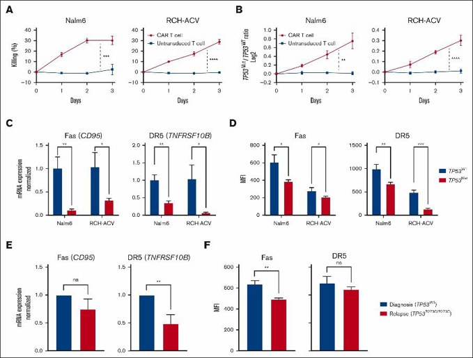 Loss of p53 impairs sensitivity to CART19 treatment and expression of DRs Fas and DR5.