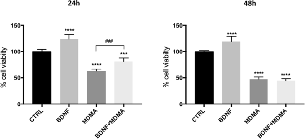 Effect of BDNF and MDMA treatment on RN46A serotonergic neurons viability.