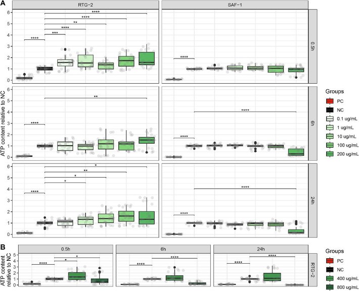 RTG-2 and SAF-1 intracellular ATP levels as a proxy of cytotoxicity, expressed relatively to negative controls, following the 0.5-, 6- and 24-h exposure to 20 nm PS-NPs at 0.1, 1, 10, 100 and 200 μg/mL (A) and, only of RTG-2, to 400 and 800 μg/mL (B).