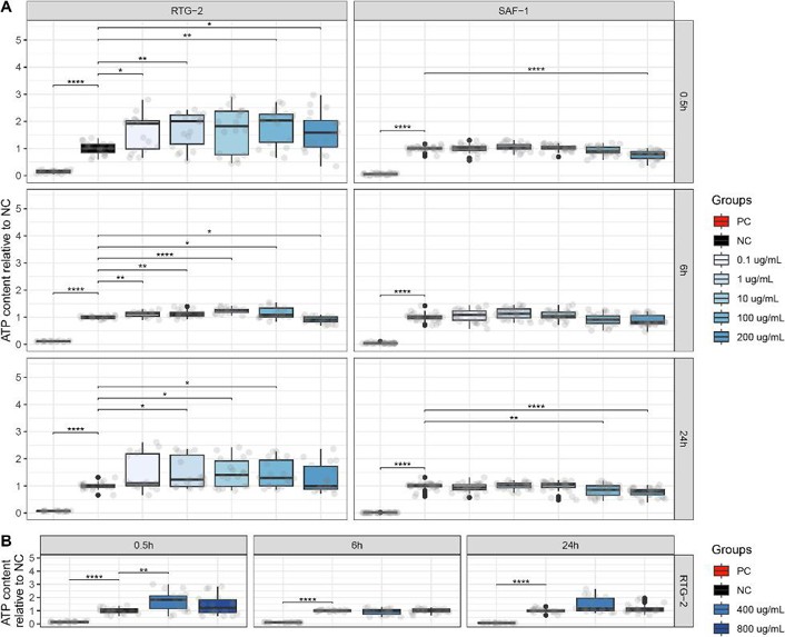 RTG-2 and SAF-1 intracellular ATP levels as a proxy of cytotoxicity, expressed relatively to negative controls, following the 0.5-, 6- and 24-h exposure to 80 nm PS-NPs at 0.1, 1, 10, 100 and 200 μg/mL (A) and, only of RTG-2, to 400 and 800 μg/mL (B).