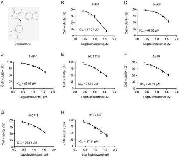 Effects of suchilactone on proliferation of various tumour cells.
