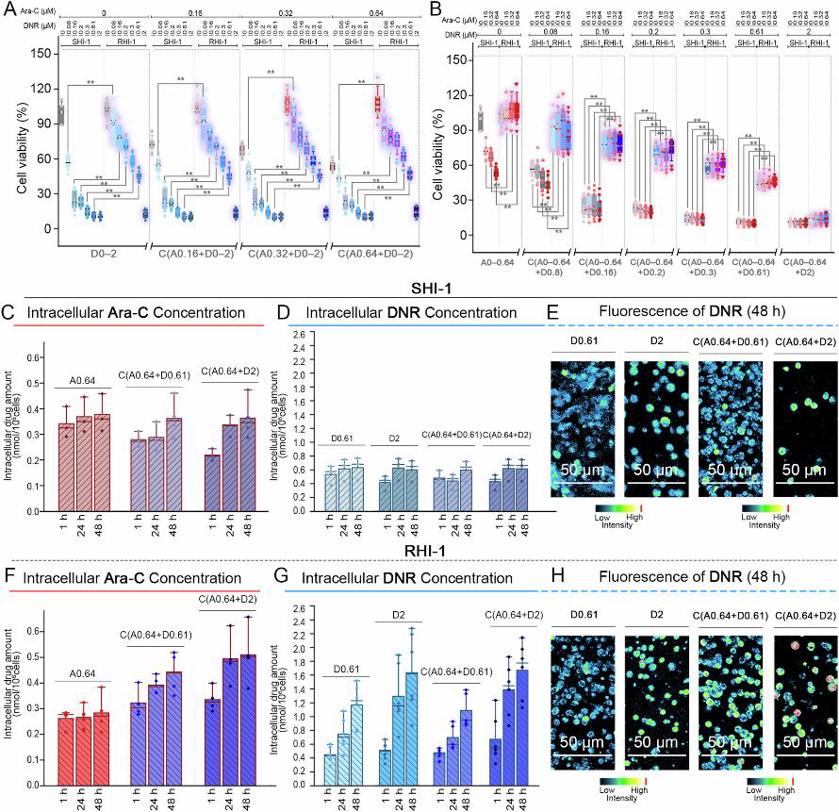 Impact of Ara-C and DNR combinations on cell viability and intracellular drug accumulation in SHI-1 and RHI-1 cell lines.