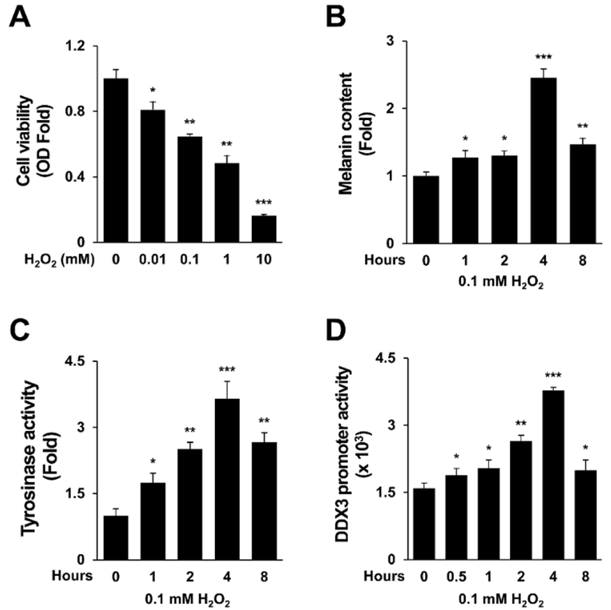 H2O2 activates melanogenesis and DDX3 promoter activity.