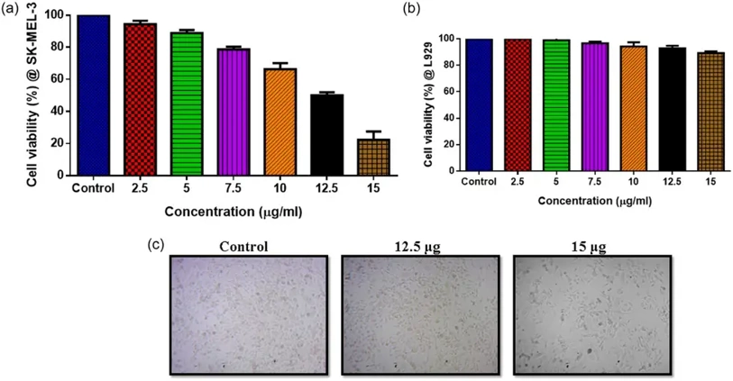 shows CuO/TiO2-chitosan-farnesol nanocomposites on the viability of SK-MEL-3 and L929 cells through MTT assay.