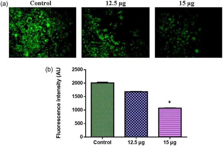 CuO/TiO2-chitosan-farnesol nanocomposites on the intracellular reactive oxygen species generation in the melanoma cells (SK-MEL-3) cells.