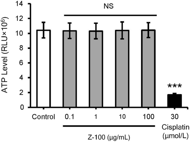 Direct effect of Z-100 on Sq-1979 cell line.