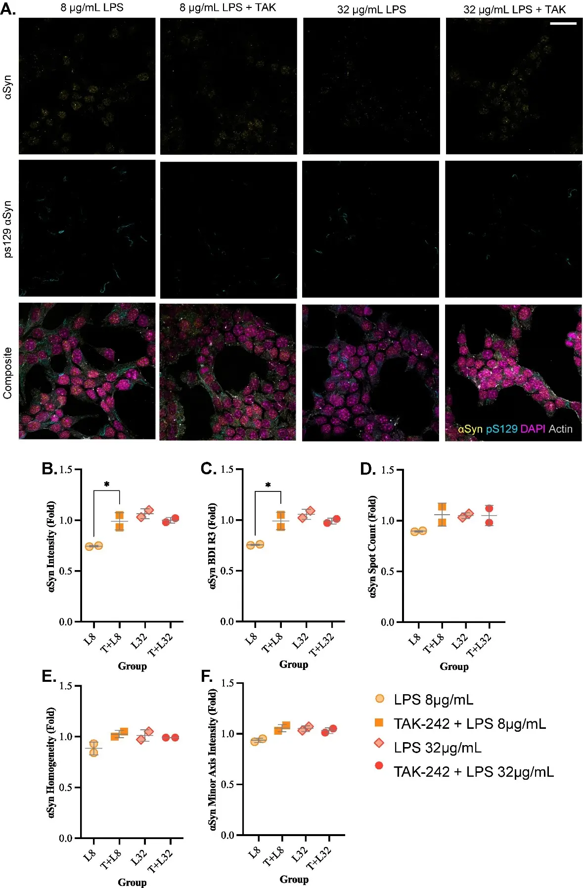 Inhibiting TLR4 prevented some LPS-induced changes to α-synuclein.