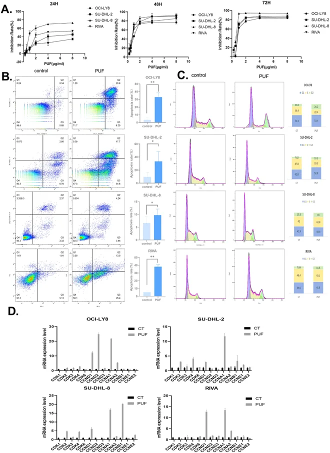 The biflavonoid PUF selectively inhibits tumor growth in vitro.