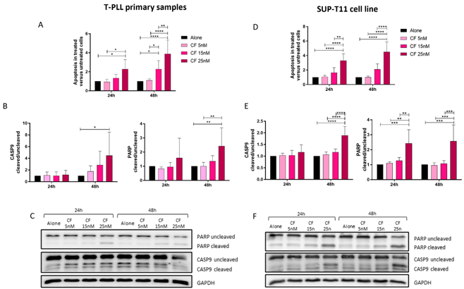 Evaluation of Apoptosis After Treatment with Carfilzomib.
