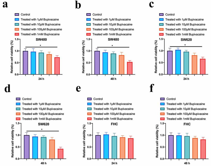 Bupivacaine Inhibited CRC Cell Proliferation