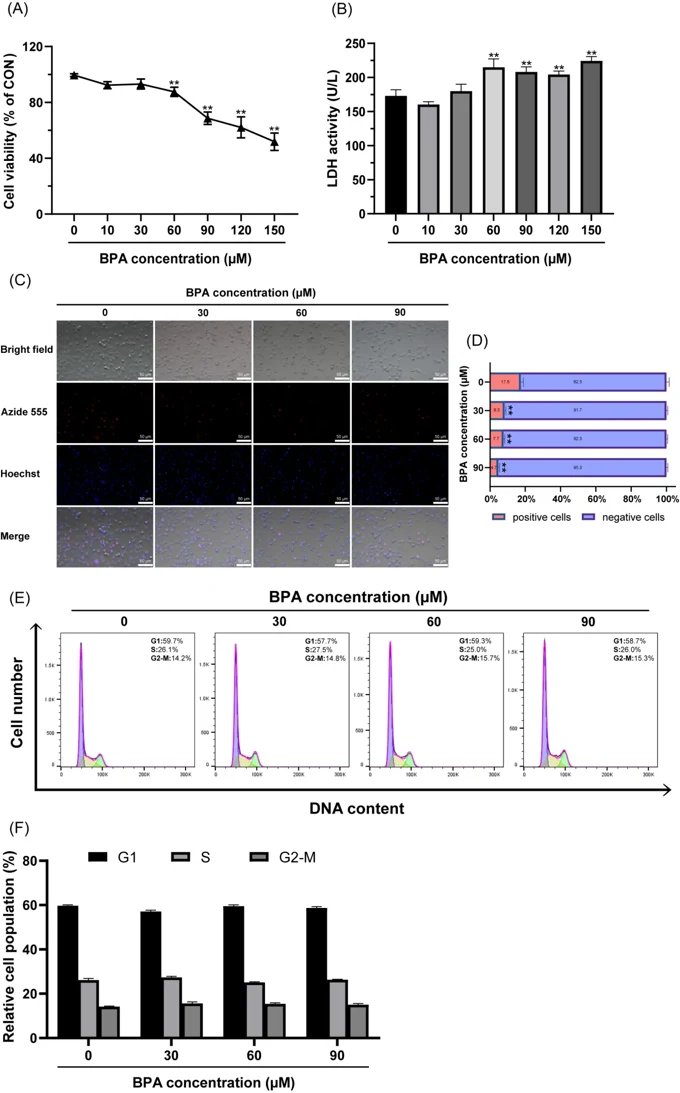 Screening of BPA exposure concentration.