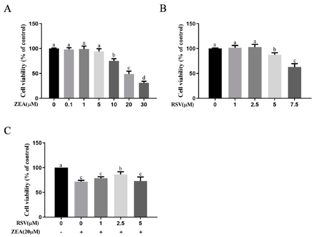 Effects of RSV on ZEA-induced TM4 cytotoxicity. TM4 cells were seeded into a 96-well plate, and the viability analysis of TM4 cells was measured by CCK-8 assay.