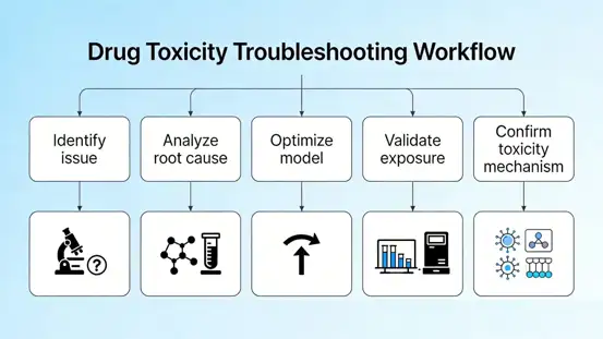 Drug toxicity troubleshooting workflow.