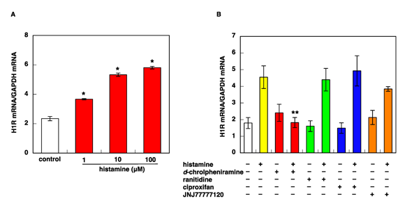 Stimulation with histamine causes upregulation of H1R mRNA expression through H1R activation in U-373 MG cells.